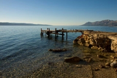 image001 (8)